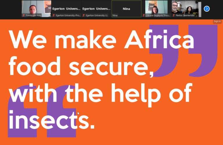 Image from the webinar. The text on the screen reads: We make Africa food secure with the help of insects.
