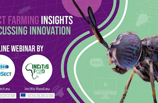 Insect Farming insights - discussing innovation.